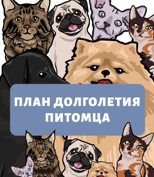 [Наталья Федосеева] Гайд «План долголетия питомца»_0.png